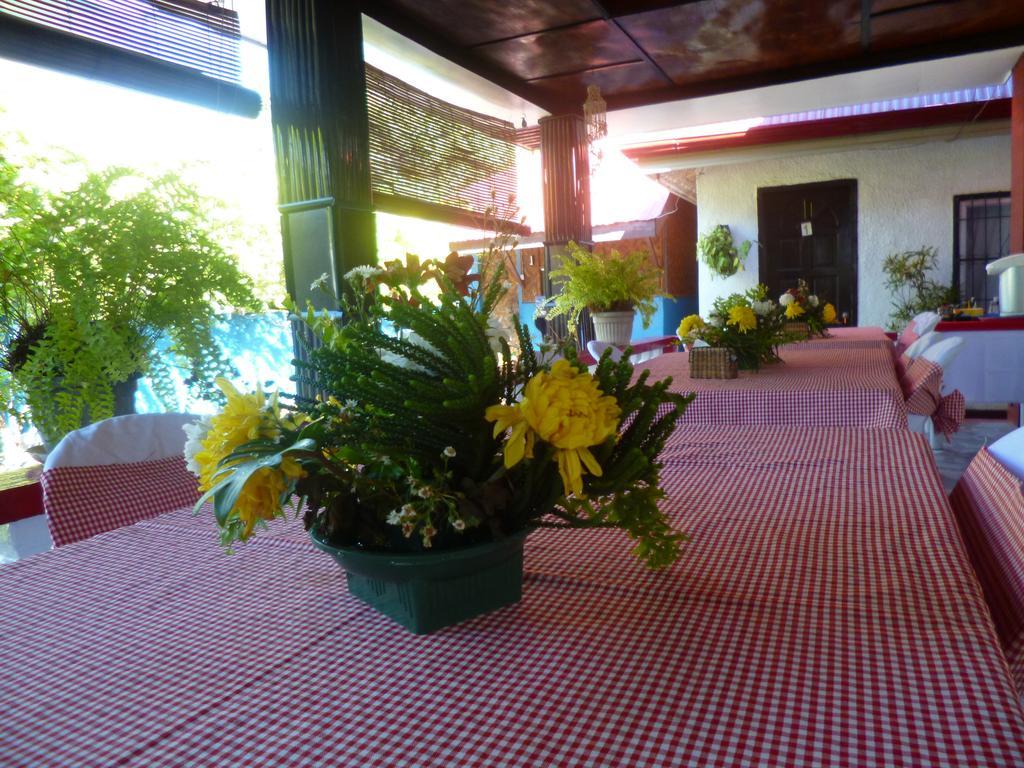 Casakeja Inn Panglao Island Exterior photo